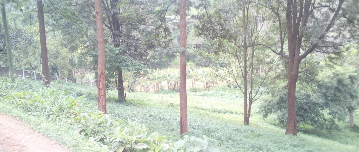 1.63 Acre Plot for Sale in Kitisuru