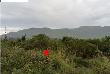 50 Acres Land for sale in Miwani Road, Kisumu